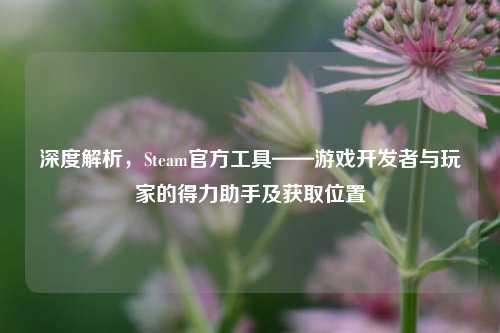 深度解析,Steam官方工具——游戏开发者与玩家的得力助手及获取位置