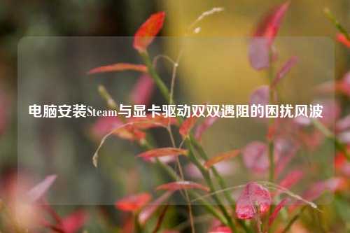 电脑安装Steam与显卡驱动双双遇阻的困扰风波