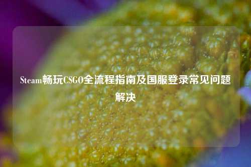 Steam畅玩CSGO全流程指南及国服登录常见问题解决