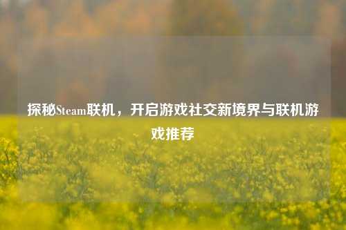探秘Steam联机，开启游戏社交新境界与联机游戏推荐