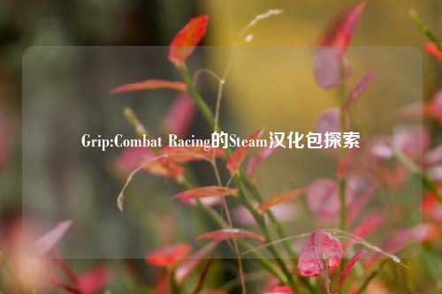 Grip:Combat Racing的Steam汉化包探索