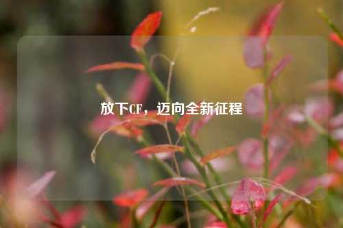 放下CF，迈向全新征程