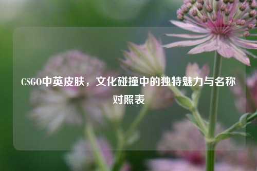 CSGO中英皮肤,文化碰撞中的独特魅力与名称对照表
