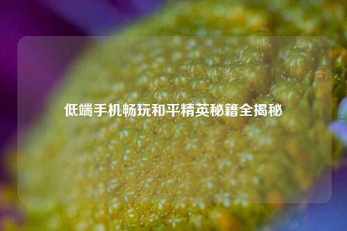 低端手机畅玩和平精英秘籍全揭秘