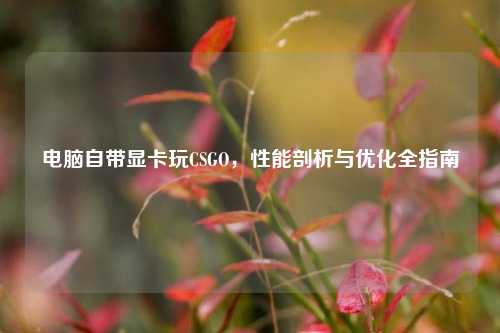 电脑自带显卡玩CSGO,性能剖析与优化全指南