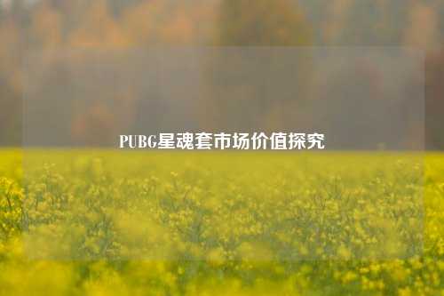 PUBG星魂套市场价值探究