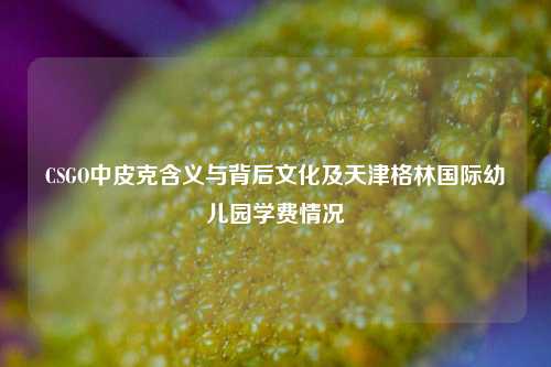 CSGO中皮克含义与背后文化及天津格林国际幼儿园学费情况