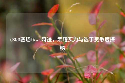 CSGO赛场16 - 0奇迹,荣耀实力与选手灵敏度探秘