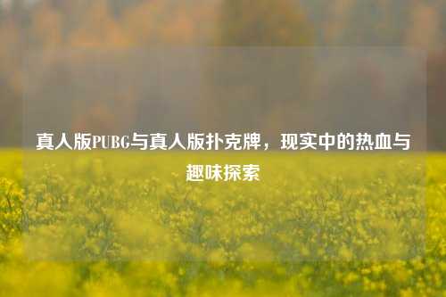 真人版PUBG与真人版扑克牌,现实中的热血与趣味探索