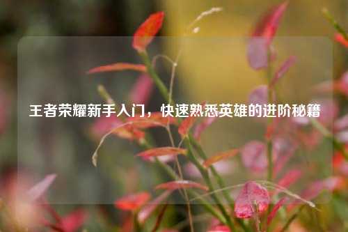 王者荣耀新手入门,快速熟悉英雄的进阶秘籍