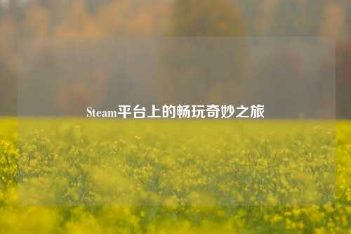 Steam平台上的畅玩奇妙之旅