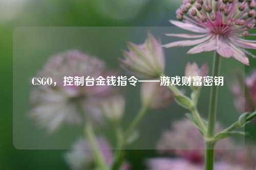 CSGO,控制台金钱指令——游戏财富密钥