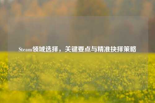 Steam领域选择，关键要点与精准抉择策略