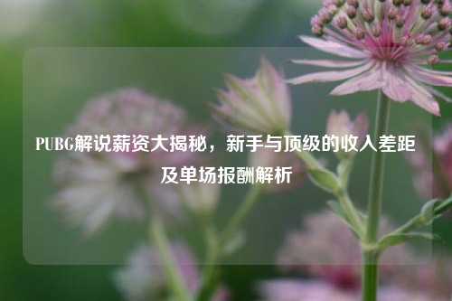 PUBG解说薪资大揭秘，新手与顶级的收入差距及单场报酬解析