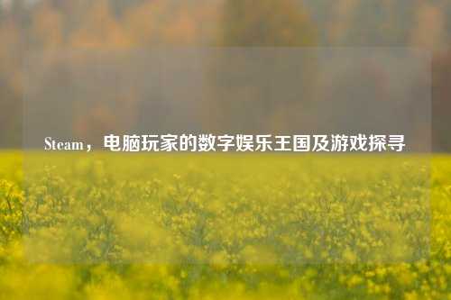 Steam，电脑玩家的数字娱乐王国及游戏探寻