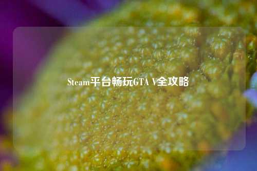 Steam平台畅玩GTA V全攻略