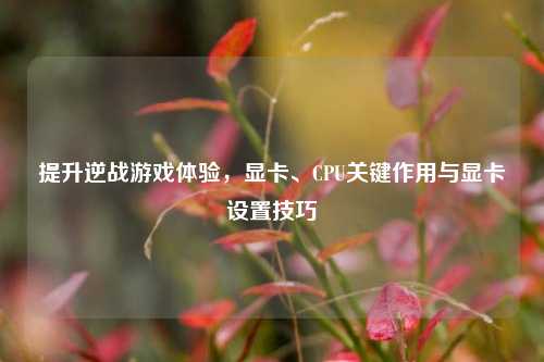 提升逆战游戏体验,显卡、CPU关键作用与显卡设置技巧