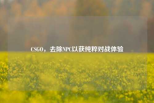 CSGO,去除NPC以获纯粹对战体验