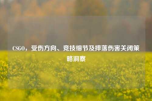 CSGO,受伤方向、竞技细节及摔落伤害关闭策略洞察