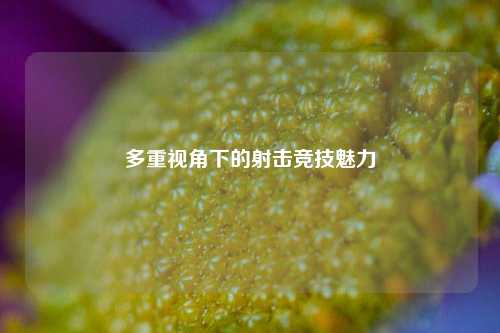 多重视角下的射击竞技魅力
