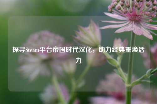 探寻Steam平台帝国时代汉化,助力经典重焕活力