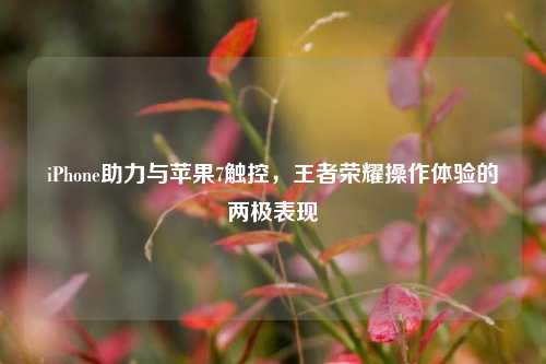 iPhone助力与苹果7触控，王者荣耀操作体验的两极表现