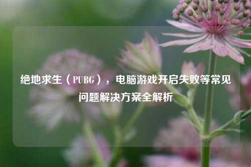绝地求生（PUBG），电脑游戏开启失败等常见问题解决方案全解析