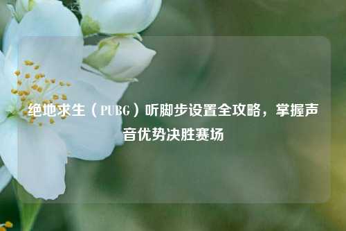 绝地求生（PUBG）听脚步设置全攻略，掌握声音优势决胜赛场