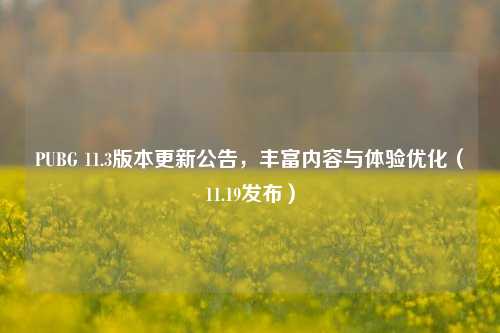 PUBG 11.3版本更新公告,丰富内容与体验优化(11.19发布)