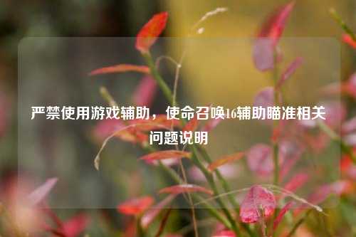 严禁使用游戏辅助,使命召唤16辅助瞄准相关问题说明