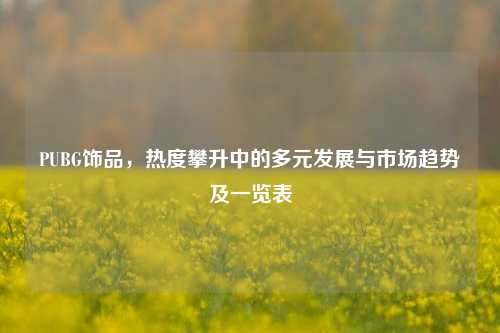 PUBG饰品,热度攀升中的多元发展与市场趋势及一览表