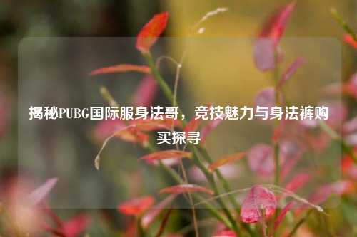 揭秘PUBG国际服身法哥,竞技魅力与身法裤购买探寻