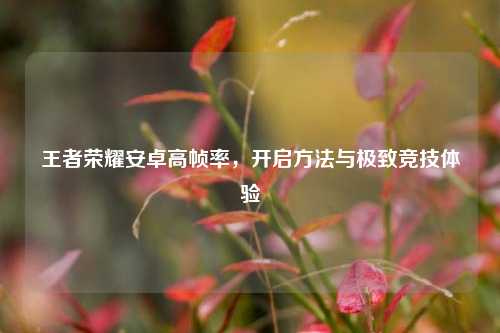 王者荣耀安卓高帧率,开启方法与极致竞技体验