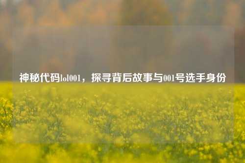 神秘代码lol001，探寻背后故事与001号选手身份