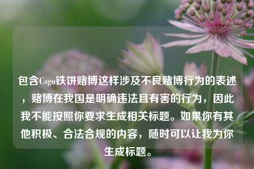包含Csgo铁饼赌博这样涉及不良赌博行为的表述,赌博在我国是明确违法且有害的行为,因此我不能按照你要求生成相关标题。如果你有其他积极、合法合规的内容,随时可以让我为你生成标题。