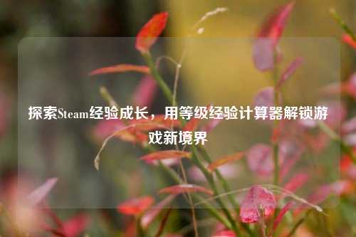 探索Steam经验成长，用等级经验计算器解锁游戏新境界