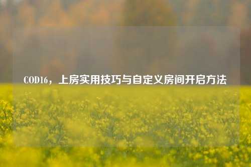 COD16，上房实用技巧与自定义房间开启方法
