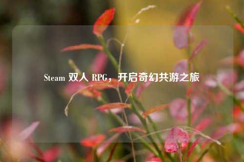 Steam 双人 RPG，开启奇幻共游之旅