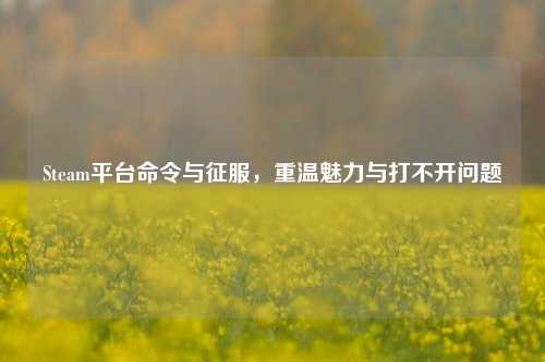 Steam平台命令与征服,重温魅力与打不开问题