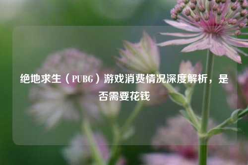 绝地求生（PUBG）游戏消费情况深度解析，是否需要花钱