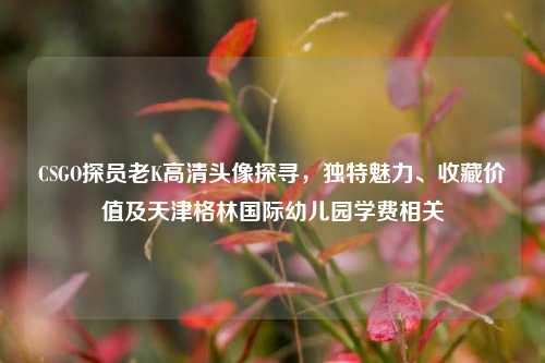 CSGO探员老K高清头像探寻，独特魅力、收藏价值及天津格林国际幼儿园学费相关