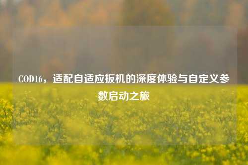 COD16,适配自适应扳机的深度体验与自定义参数启动之旅