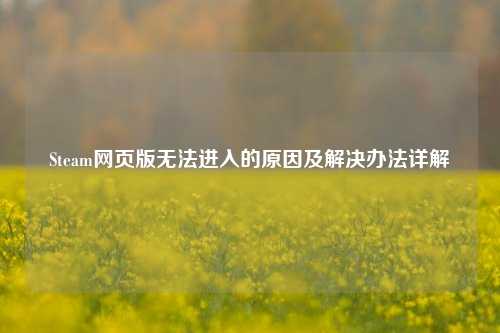 Steam网页版无法进入的原因及解决办法详解
