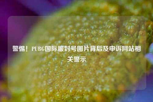 警惕!PUBG国际服封号图片背后及申诉网站相关警示