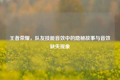 王者荣耀,队友技能音效中的隐秘故事与音效缺失现象