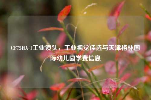 CF75HA 1工业镜头,工业视觉佳选与天津格林国际幼儿园学费信息