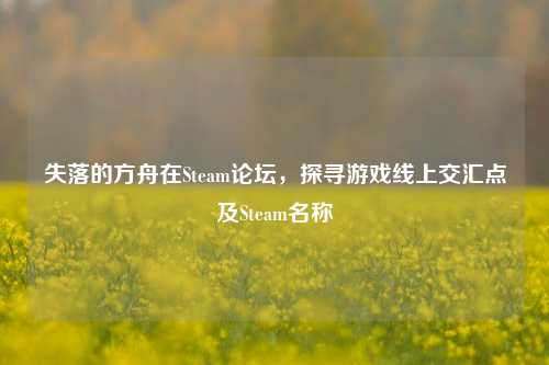 失落的方舟在Steam论坛，探寻游戏线上交汇点及Steam名称