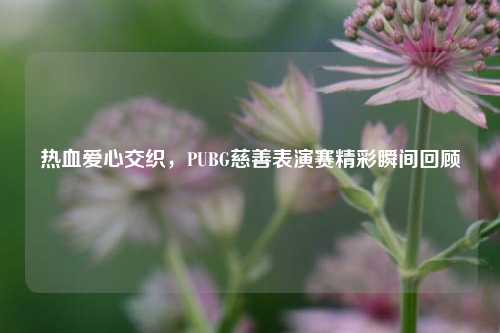 热血爱心交织,PUBG慈善表演赛精彩瞬间回顾