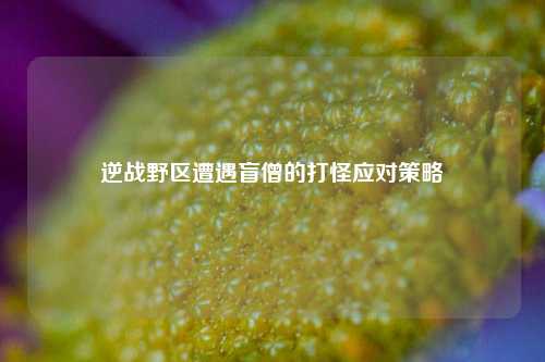 逆战野区遭遇盲僧的打怪应对策略