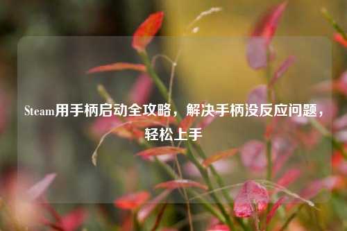 Steam用手柄启动全攻略，解决手柄没反应问题，轻松上手